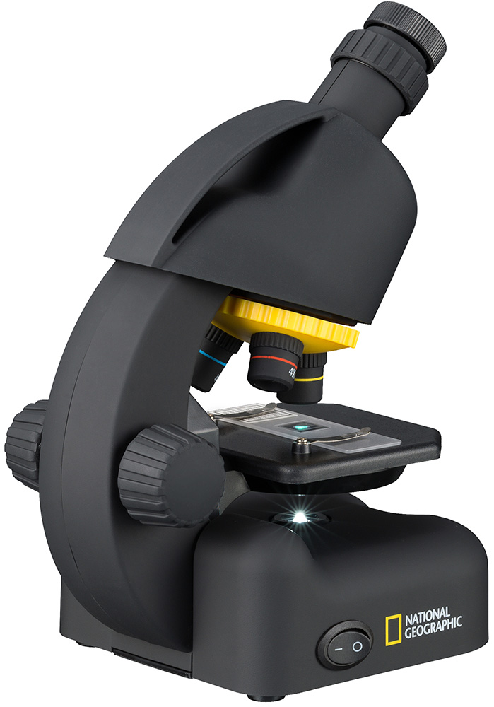 LEV-69364_2.jpg