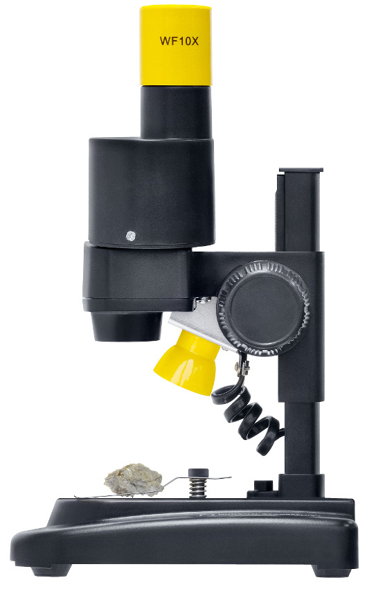 LEV-69365_3.jpg