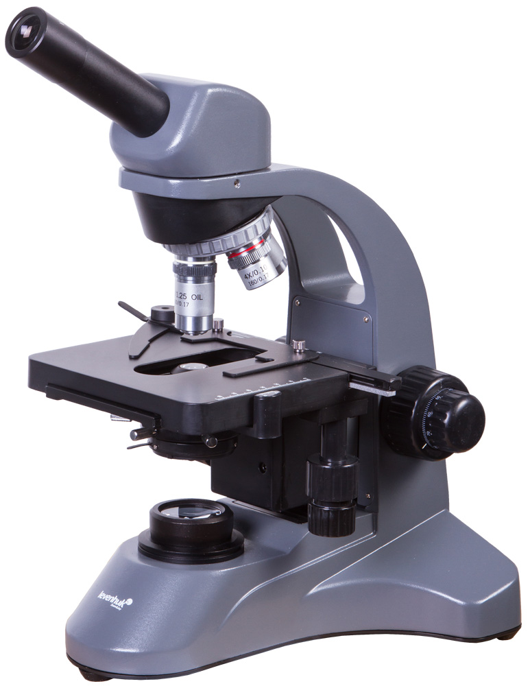 LEV-69655_1.jpg