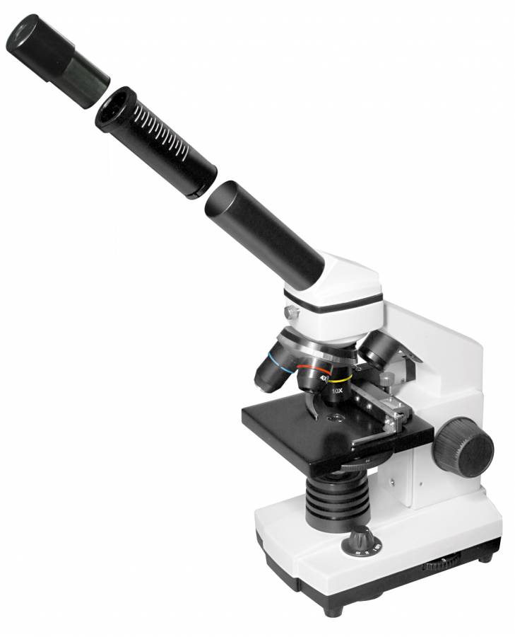 LEV-70209_5.jpg