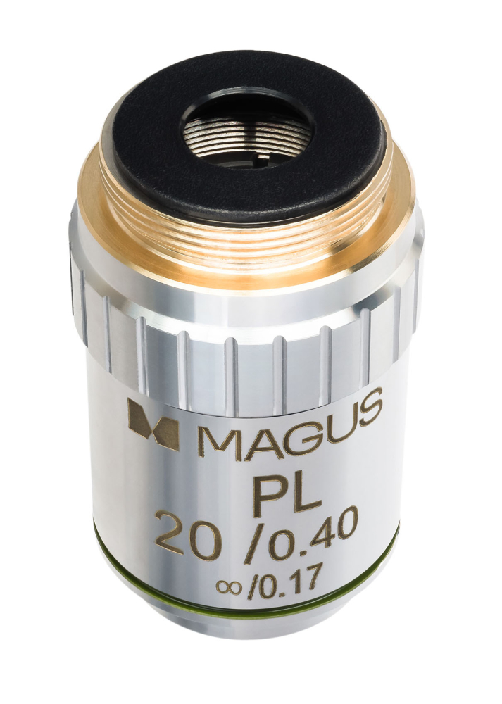 LEV-82913_4.jpg