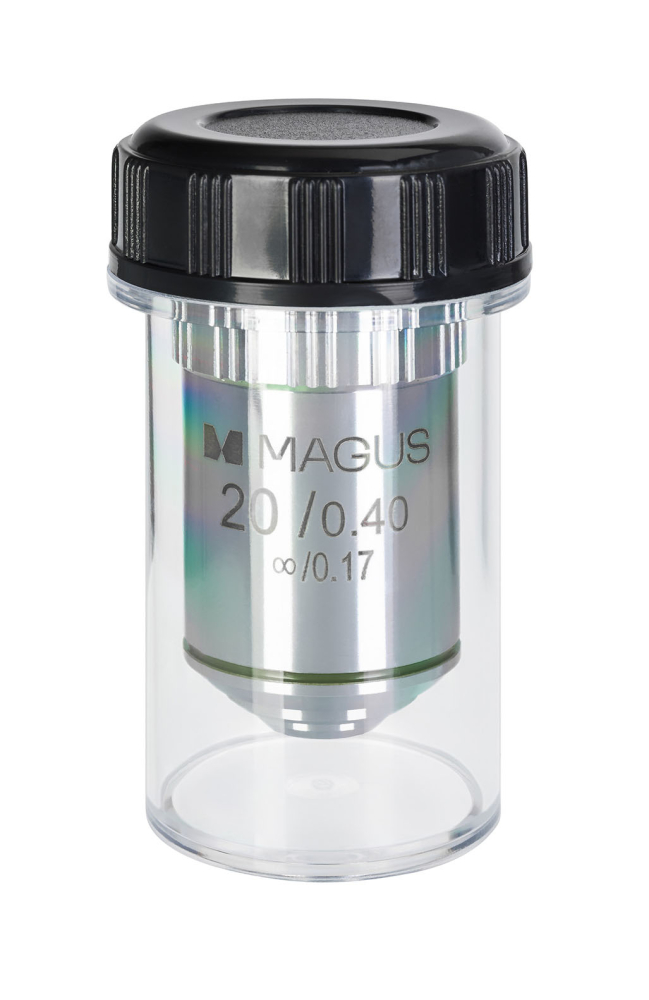 LEV-82927_2.jpg