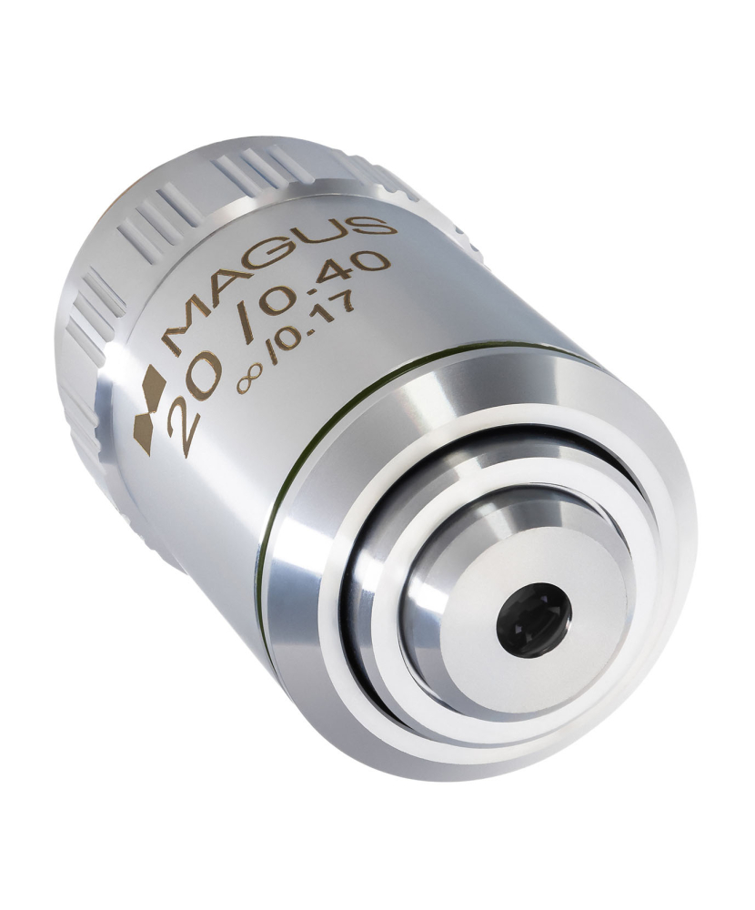 LEV-82927_3.jpg