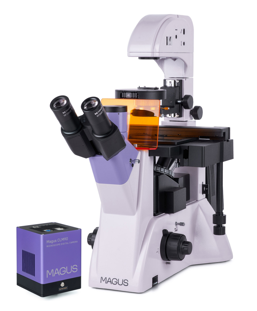 LEV-83020_1.jpg