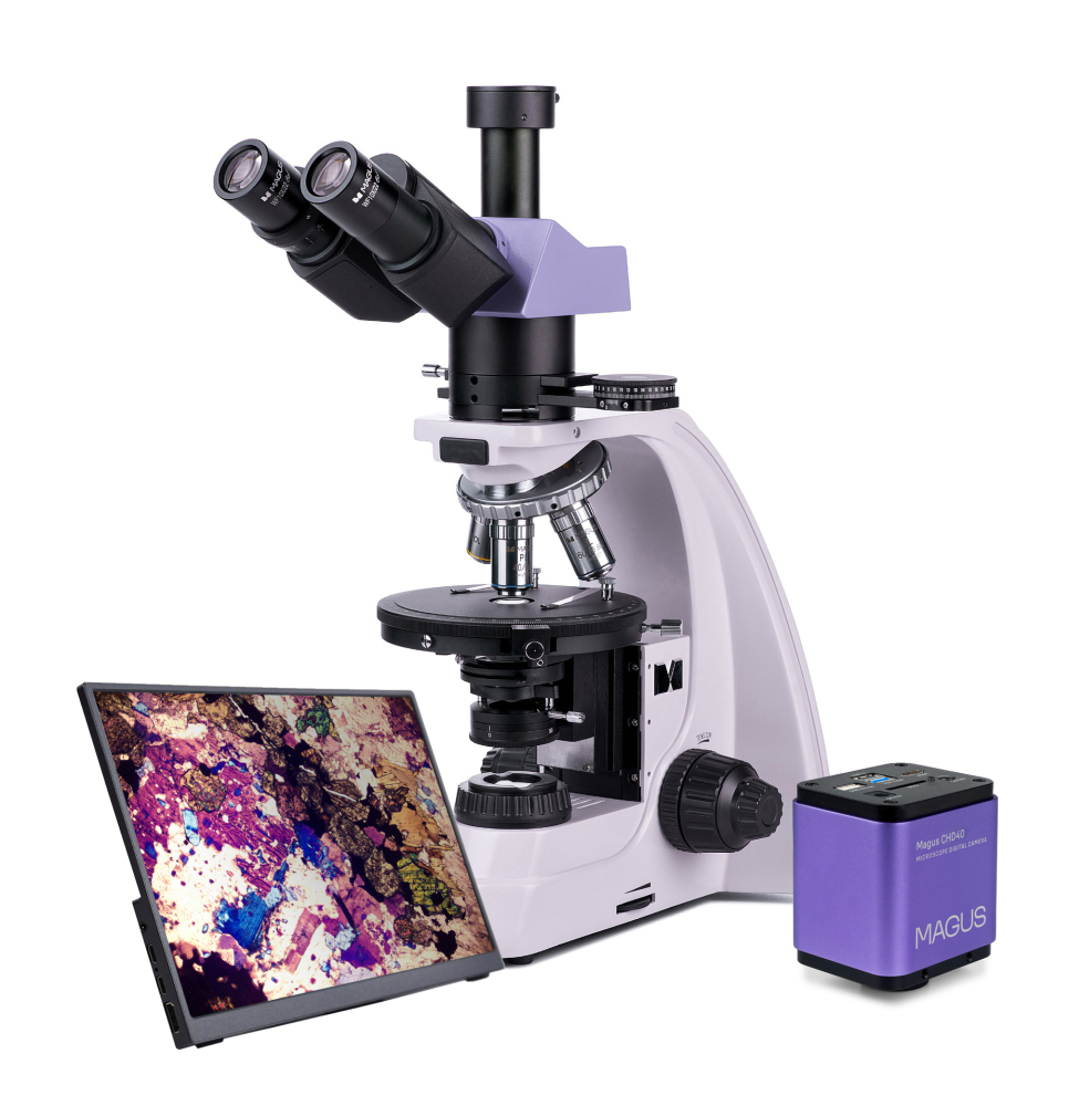 LEV-83041_1.jpg