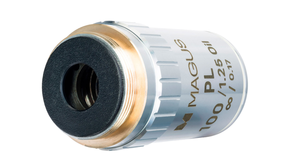 LEV-83451_4.jpg