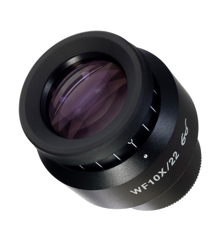LEV-83499_2.jpg