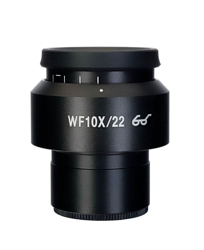 LEV-83499_5.jpg