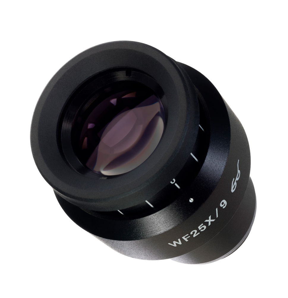 LEV-83502_2.jpg