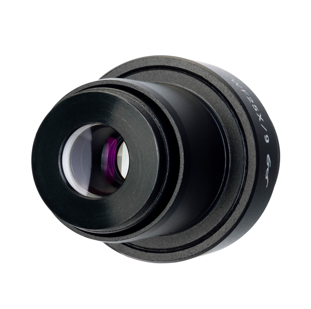 LEV-83502_3.jpg