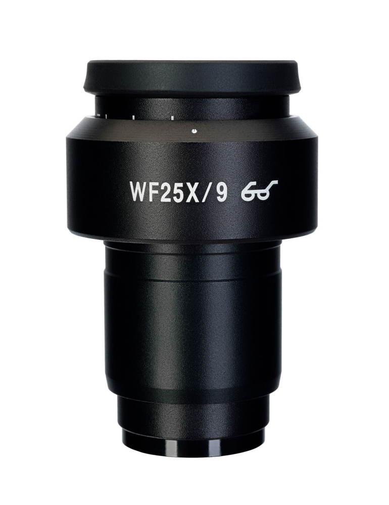 LEV-83502_4.jpg