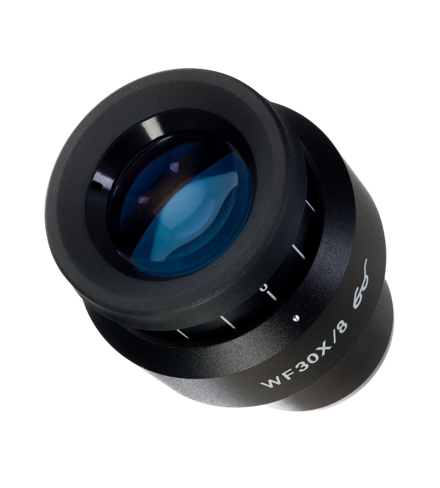 LEV-83503_2.jpg