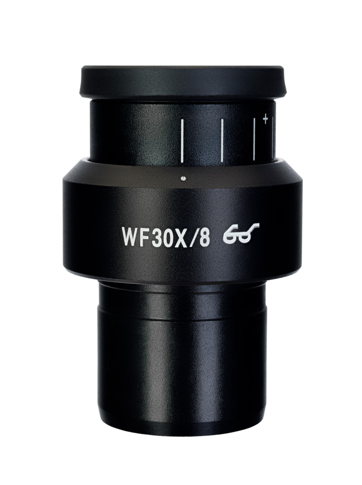 LEV-83503_5.jpg