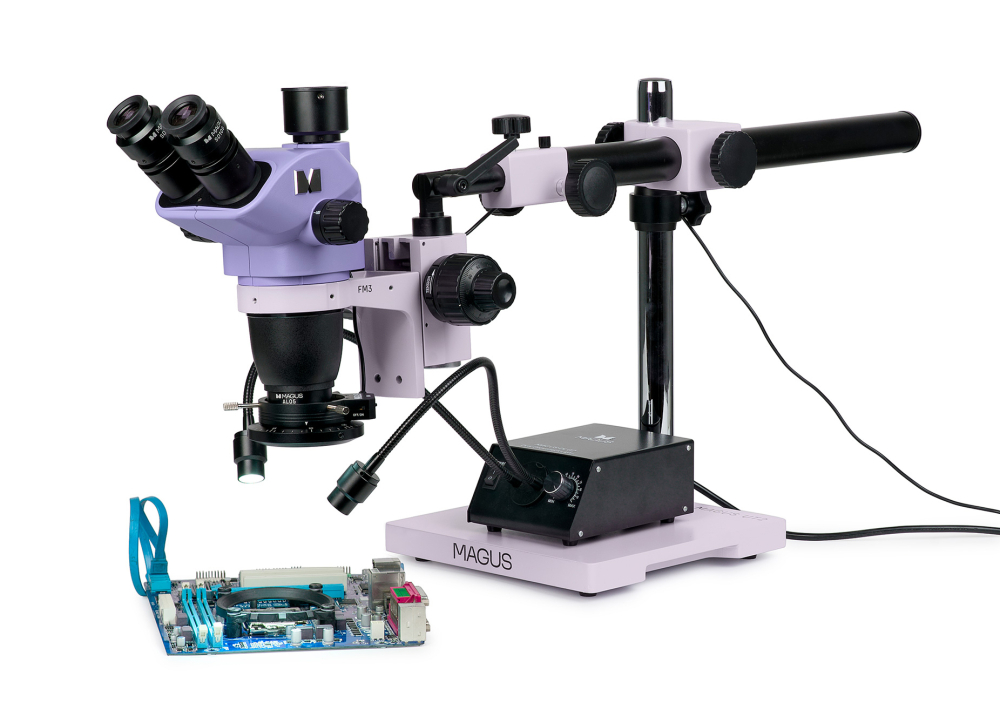 LEV-84844_1.jpg