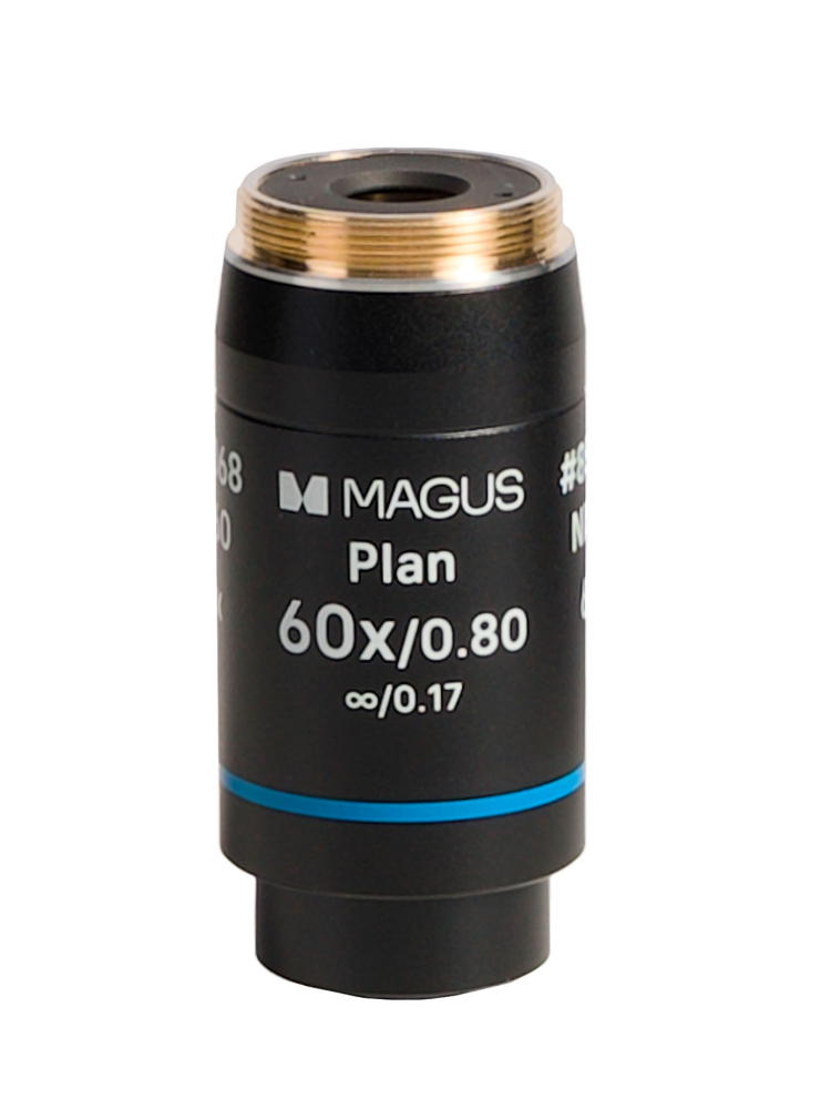 LEV-85068_1.jpg