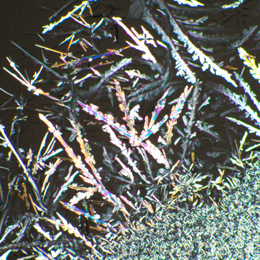 LEV-85081_4.jpg