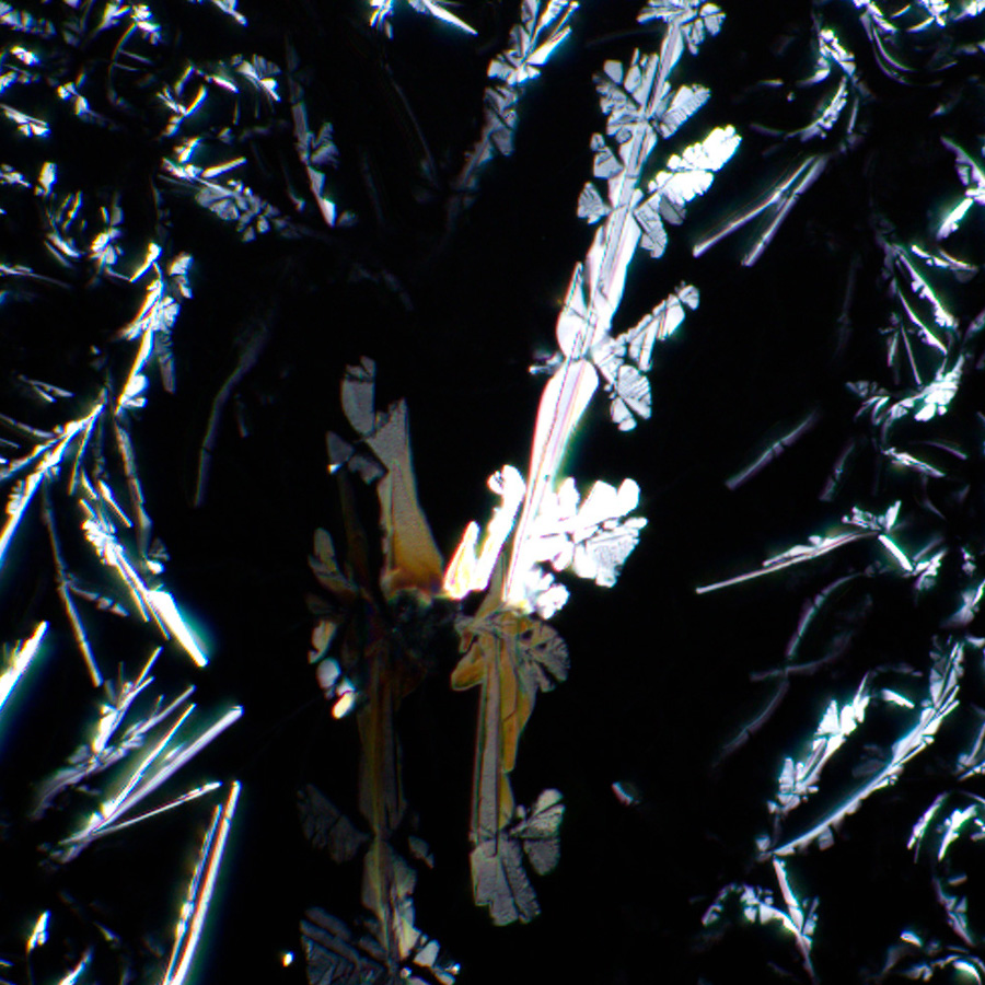 LEV-85081_5.jpg
