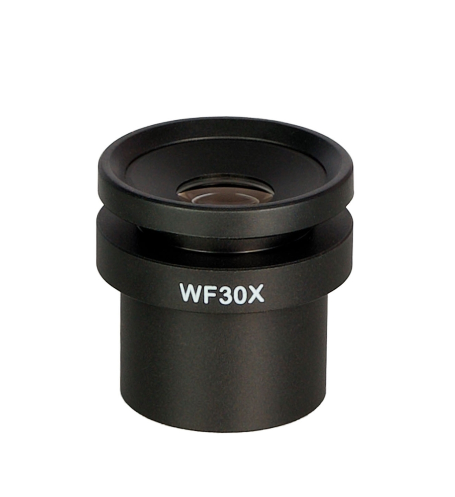 LEV-85086_1.jpg