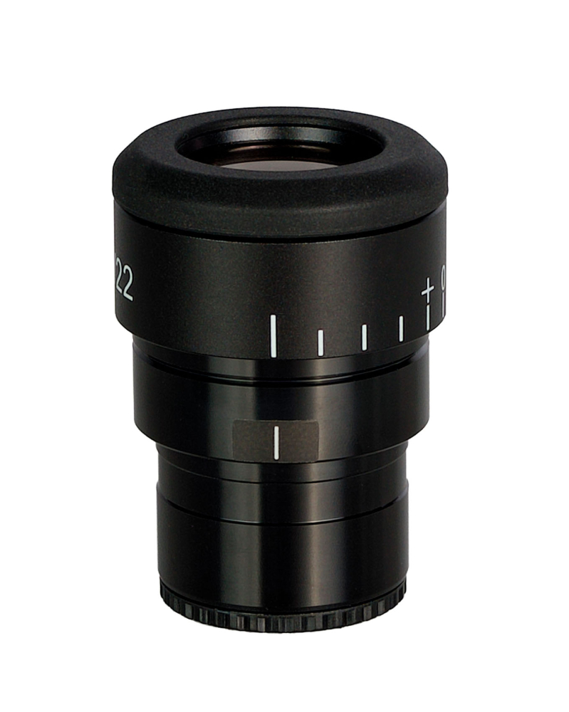 LEV-85088_4.jpg