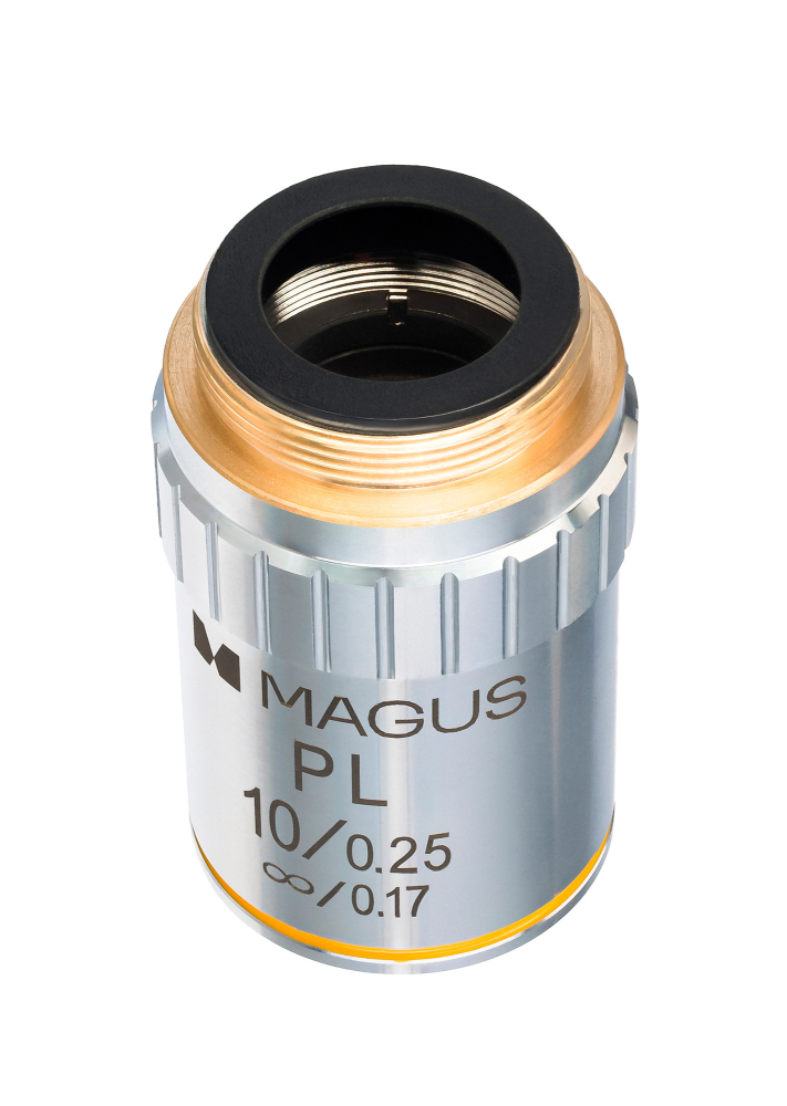 LEV-85238_4.jpg