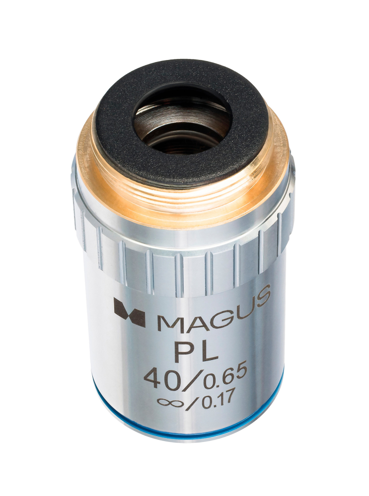 LEV-85239_4.jpg